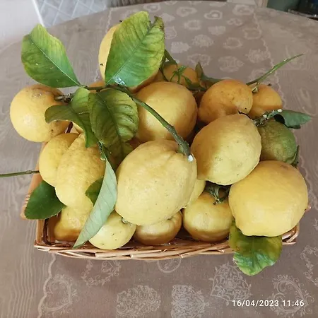 Dimora Di Meglio A Un Passo Dal Mare Forio (Isola d'Ischia)